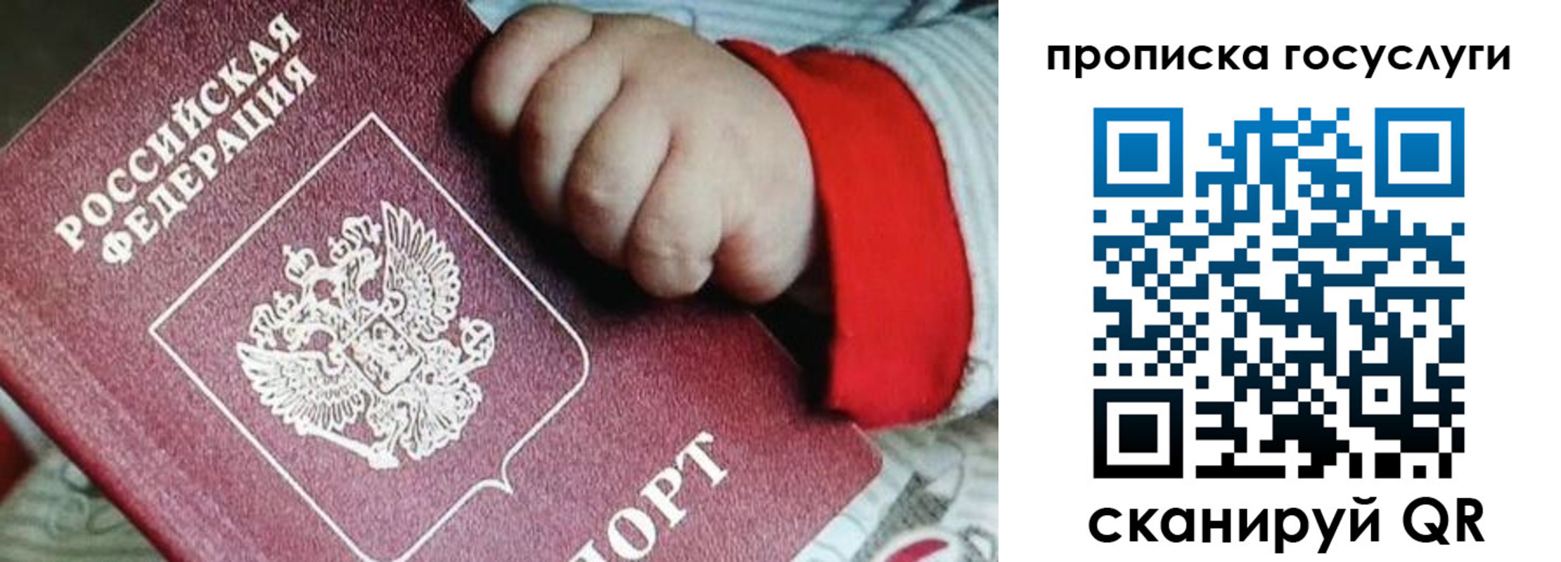 прописка штамп в Соколе
